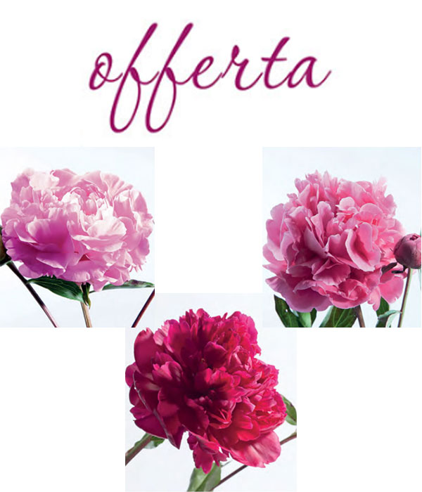 Vendita peonie online  Centro Botanico Moutan