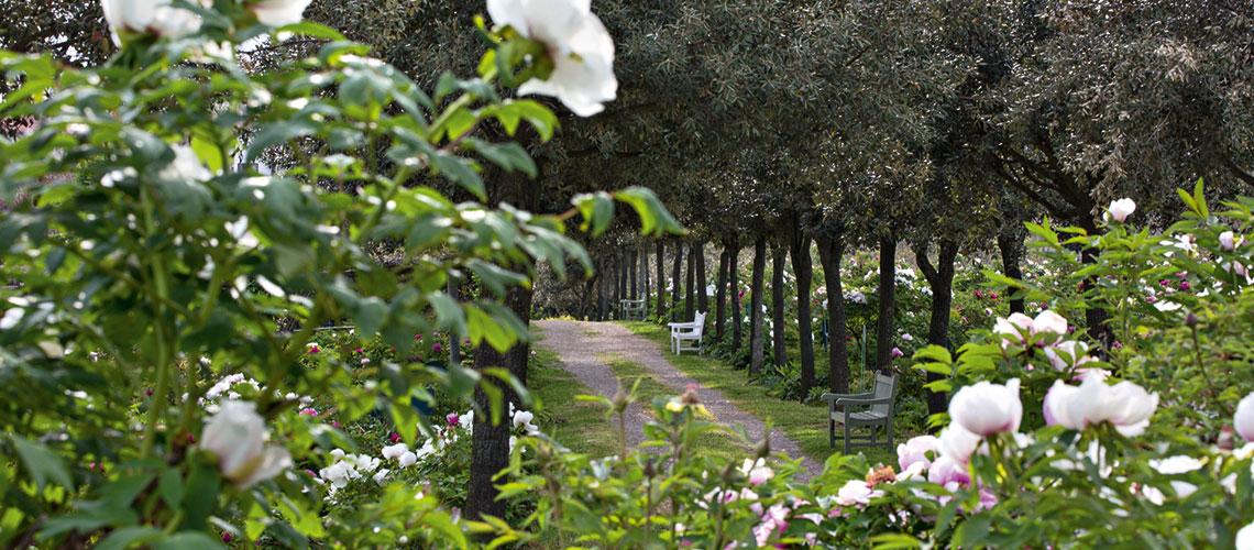 Visita al Centro Botanico Moutan