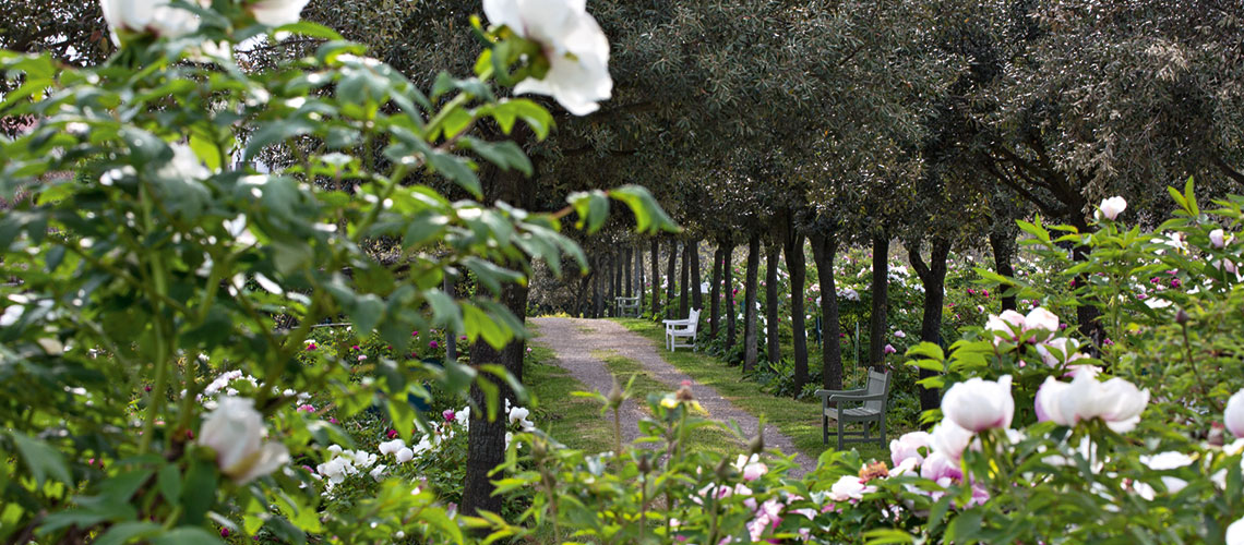 Visita al Centro Botanico Moutan