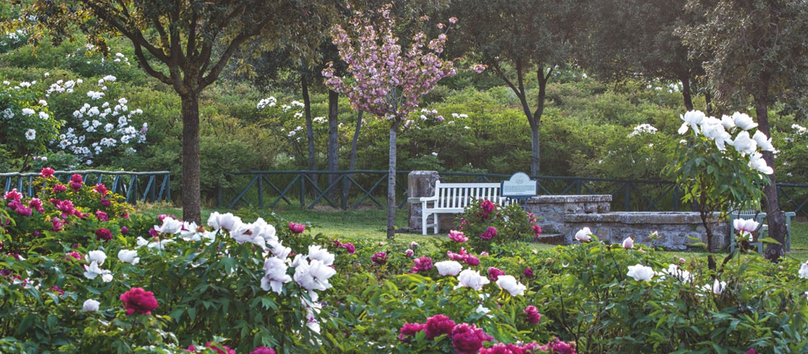 Visita al Centro Botanico Moutan