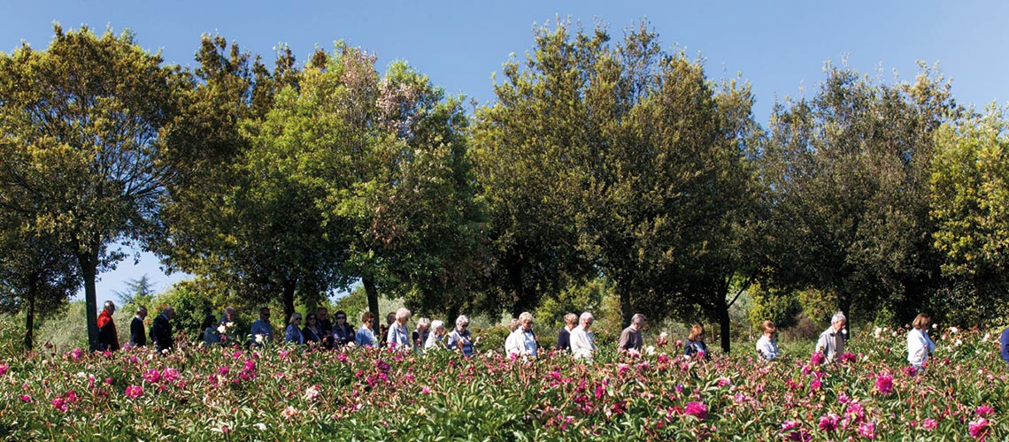 Visita al Centro Botanico Moutan