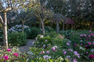 Centro Botanico Moutan
