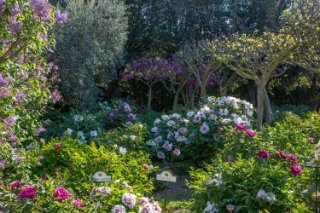 Centro Botanico Moutan