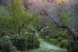 Centro Botanico Moutan