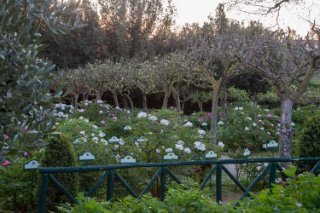 Centro Botanico Moutan