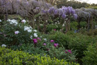 Centro Botanico Moutan
