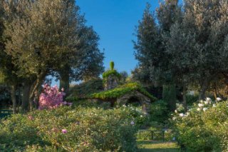 Centro Botanico Moutan