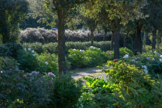 Centro Botanico Moutan