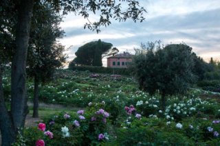 Centro Botanico Moutan