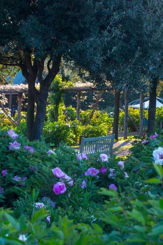 Centro Botanico Moutan