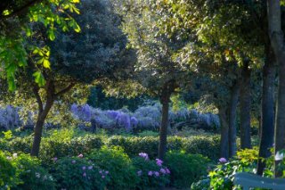 Centro Botanico Moutan