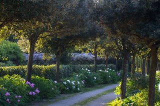 Centro Botanico Moutan