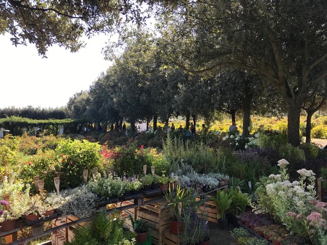 Centro Botanico Moutan