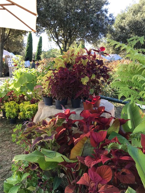 Centro Botanico Moutan