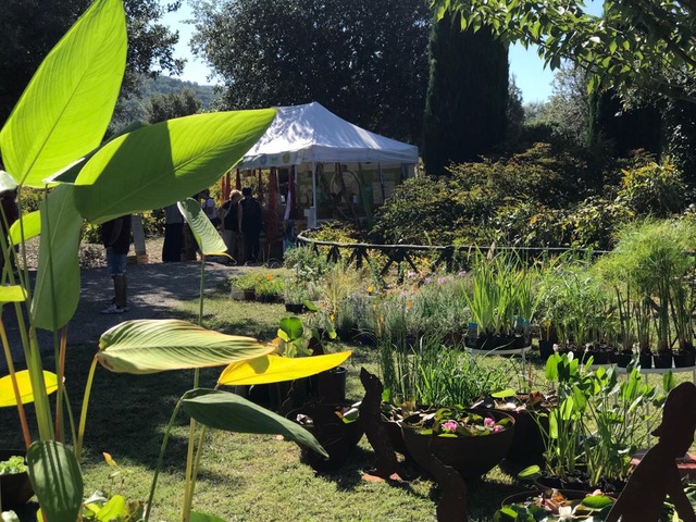 Centro Botanico Moutan