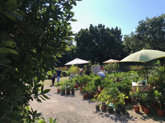 Centro Botanico Moutan